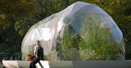 Mini City Greenhouses Make Tiny Gardens For Plants and Bees