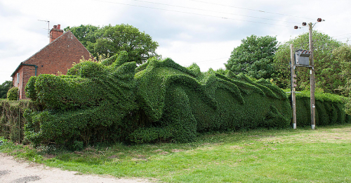 The Incredible Green Dragon Hedge Is A Work Of Art