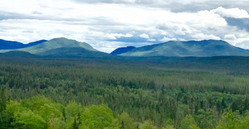 Spectacular  7 Acres Bordering State Land With  Adirondack View for $55k