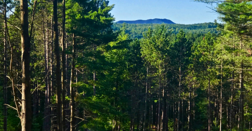 Pine Knoll 42  Adirondack Acres With Pretty View for $59k