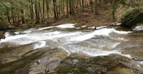 Incredible 80 Acres Acreage with Stream, Waterfall and Views for $139k