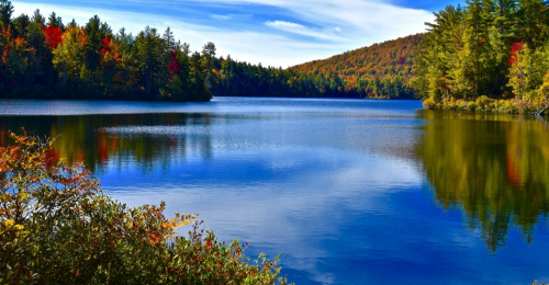 This 150 Acres Adirondack Acreage Has It All for $159k