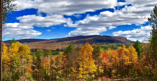 Secluded 7 Acres With Beautiful View of Owls Head Mt in the Northern Adirondacks for $32k