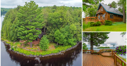Entire Michigan Island Hits Market With Cabin Home Accessible by Man-made Land Bridge