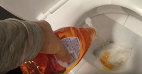 Handyman Pours Dish Soap into Toilet, When He Shows Why? I Ran to Try It!