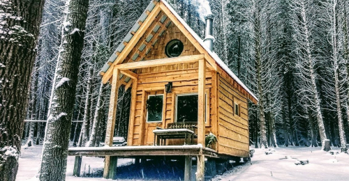 10 Minute Off Grid Cabin Build!