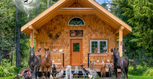 Experience a Spectacular Riverside Cottage in Canada