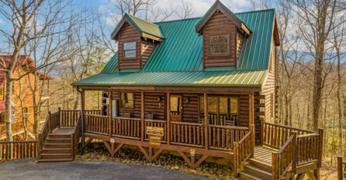 You Won't Believe What's Inside This Bear Pause Cabin!